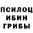 Галлюциногенные грибы GOLDEN TEACHER ana7olich